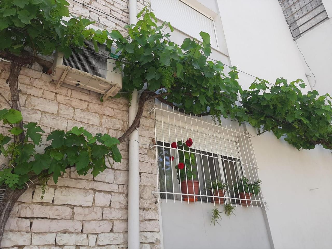 Sofia'S Modern Apartment Gjirokastër Exterior foto